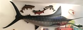 Taxidermy Blue Marlin fish & friends