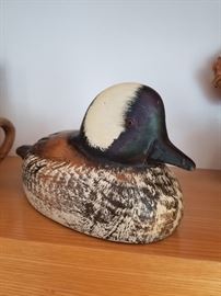 Leo Koppy Buffle head Duck. 