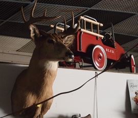 Deer with Firetruck