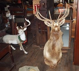 Deer decor
