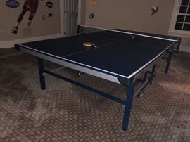 Ping Pong Table