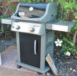 Weber BBQ
