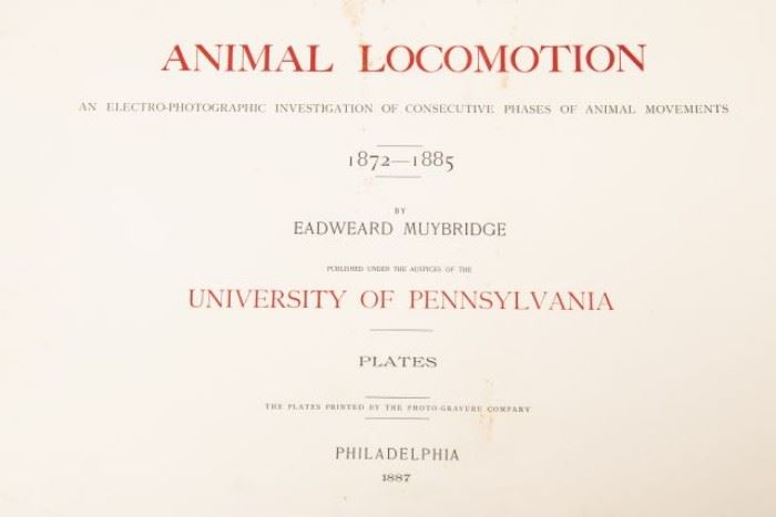DOVER ANIMAL LOCOMOTION PAGE