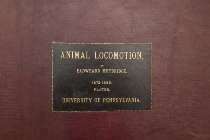 DOVER ANIMAL LOCOMOTION COVER