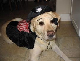 aaahalloween