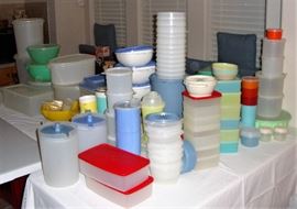 CAN YOU SAY "TUPPERWARE" ?