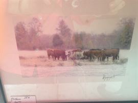 Cattle in the snow