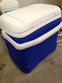 Ice chest for many occasions