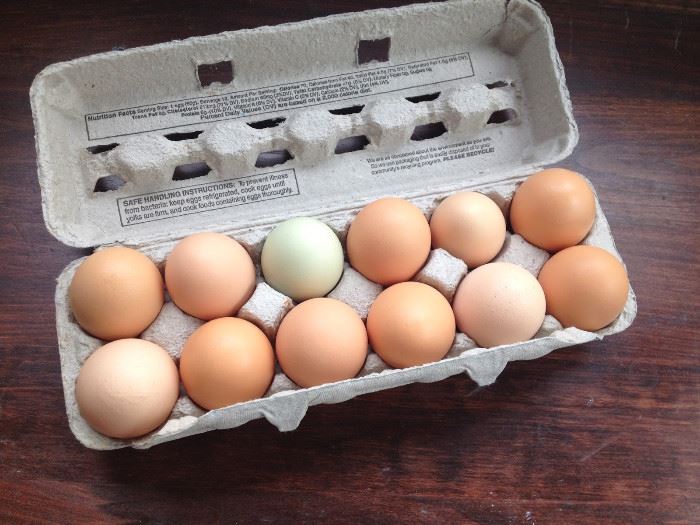 Farm fresh eggs will be available at the sale too!