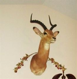 Impala wall mount