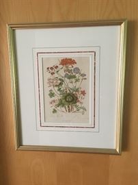 Framed botanical