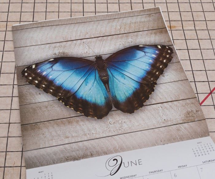 Butterfly Prints to Frame