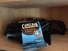 Camelbak DayTrekker.