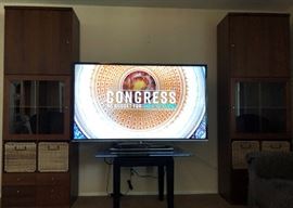 Storage/Bookcase (2), 65" Toshiba TV, Display Coffee Table