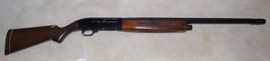 Ted Williams (Sears Roebuck) Model 300 12 ga semi-automatic
