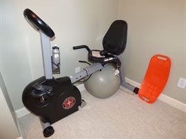 Schwinn exercise cycle
