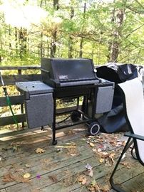 Propane grill