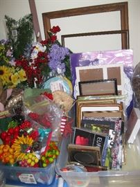 Picture Frames and Floral Stems