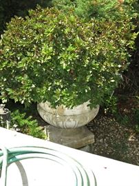 One of Six Footed Planters