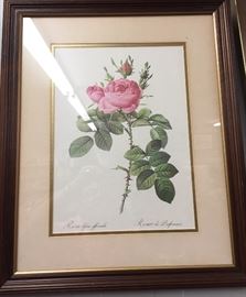 Rose Print