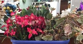 Assorted Silk Flower