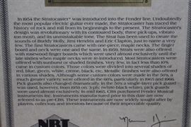 1959 Fender Stratocaster 3D Artwork 