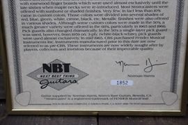 1959 Fender Stratocaster 3D Artwork 