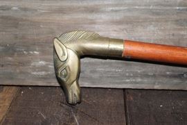 Horse walking cane