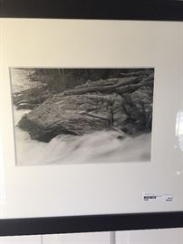 Beautiful Black and White framed print