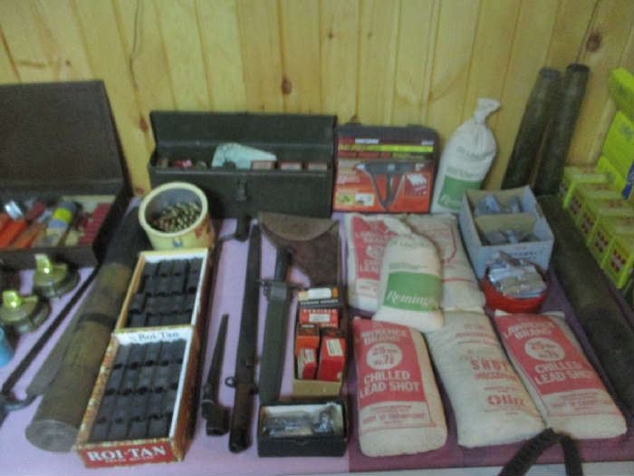 Ammo and gun items