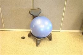 Balance Ball Chair
