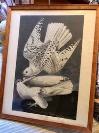 Audubon hand painted bird print
