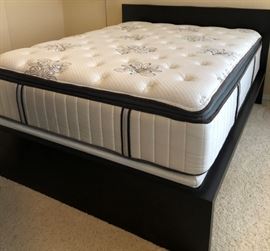 Queen Stearns & Foster (BRAND NEW!)