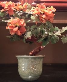 49. Decorative Jade Plant 16"