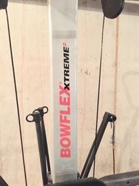 141. Bowflex Extreme Weight Chair