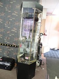 6FT Glass Display Case