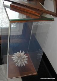 Two Tall Lucite Display stands