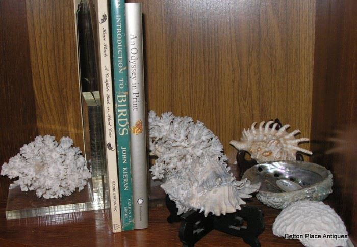 Lucite and Coral Bookends and shells