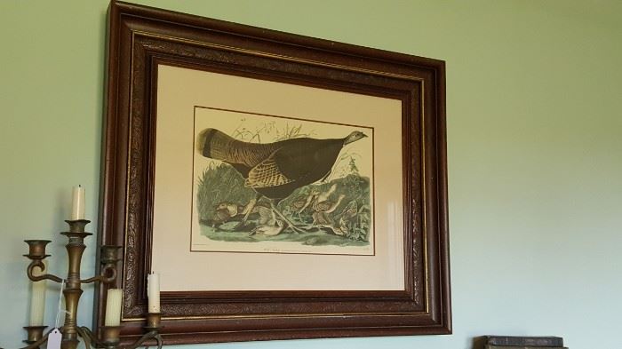 Audubon print