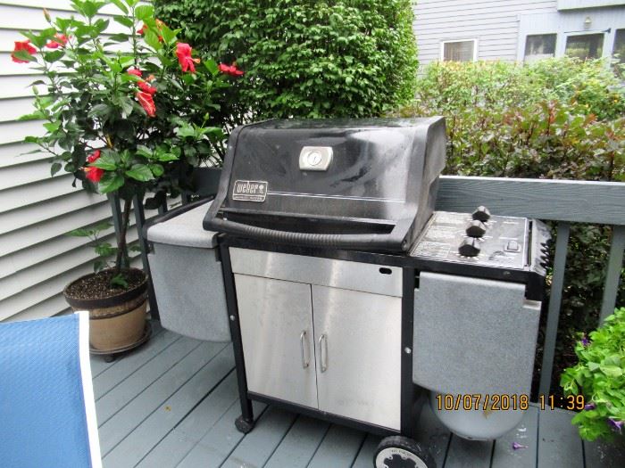 weber genesis grill