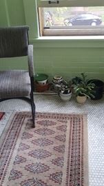 Carpet & Plants
