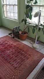 Carpet & Plants