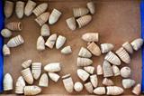 Civil War Recovered Bullets