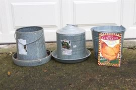 Raising Chickens In Austin?  Just What You Need!