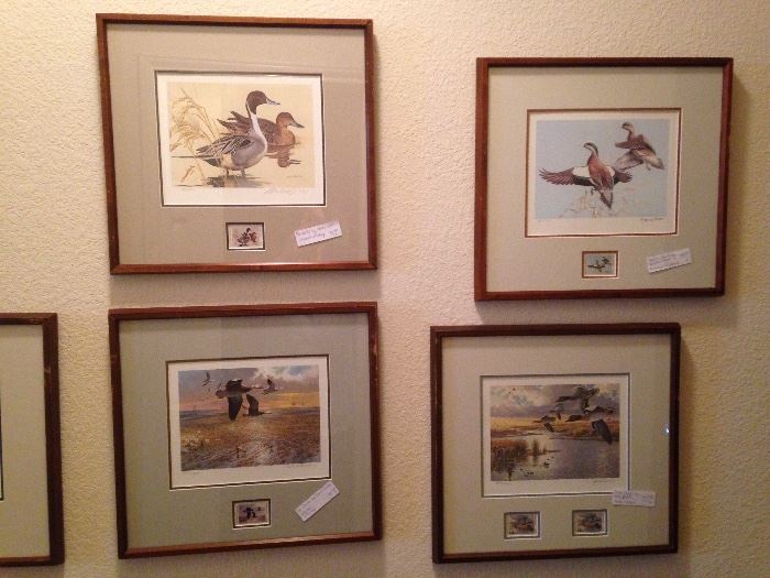 Texas Parks & Wildlife Dept.  Texas Ducks Stamp & Print.  Dates:  1982-1992.  Signed by:  L. Hayden, K. Carlson, M. Reece, D. Maas, P. Cowan, R. Bateman & D. Smith. (12 available)  Priced at $75.00ea.