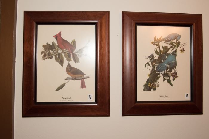 Framed Wall Art-Birds