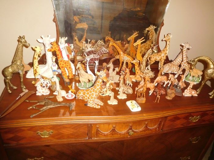 Giraffe collection