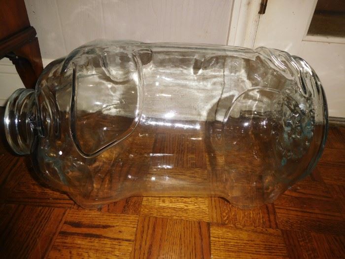 Huge glass pig jar
