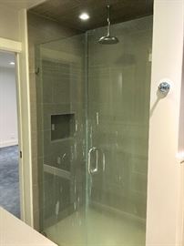 Seamless Shower Doors - Rain Shower Head 