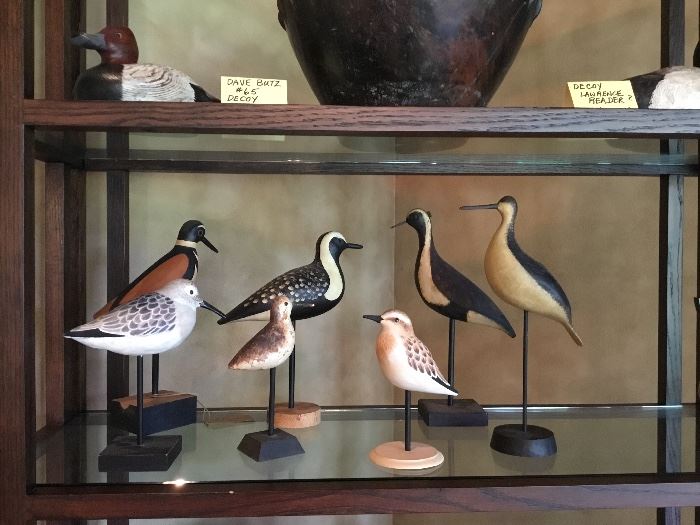 Lawrence Reader birds.
